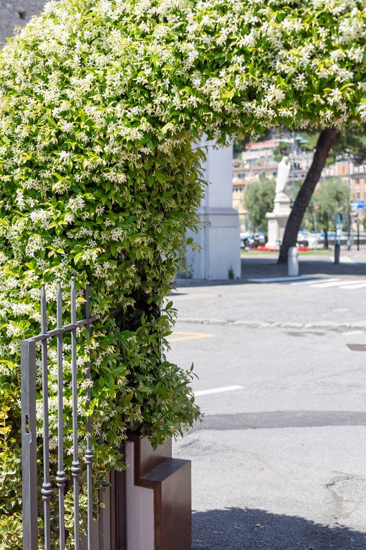 RISTORANTE-IL-CORTILETTO-ESTERNO-2025-6